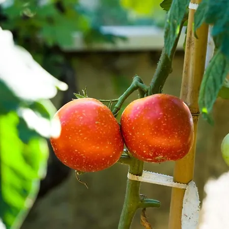 Ve & Ki Apartamento Podstrana