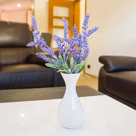 Apartman Ve & Ki