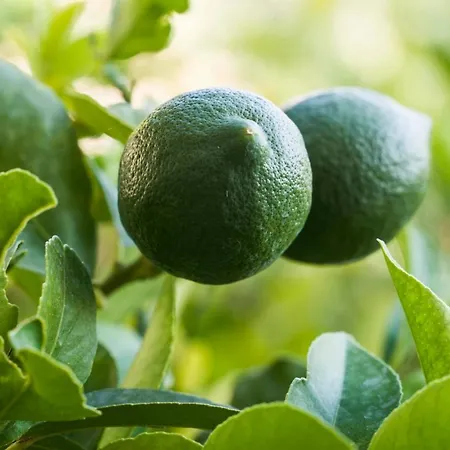 Apartamento Ve & Ki *