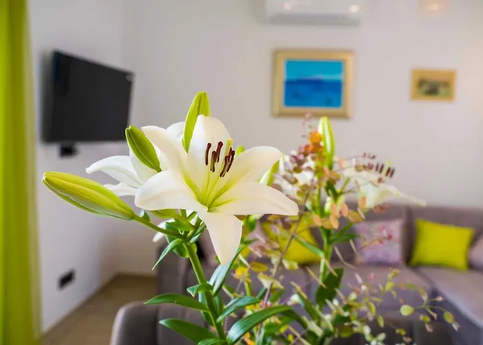 Ve & Ki Apartman