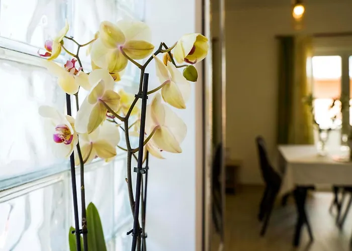Apartman Ve & Ki Podstrana