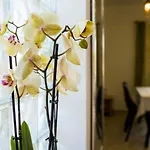 Apartmán Ve & Ki Podstrana