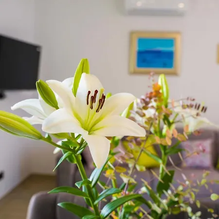 Ve & Ki Apartment