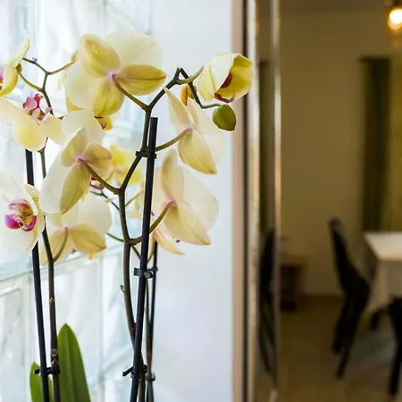 Apartman Ve & Ki Podstrana