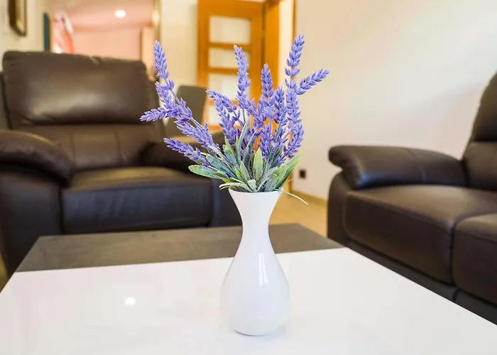 Apartment Ve&ki