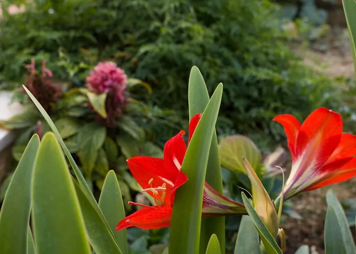 Ve & Ki 포드스트라나